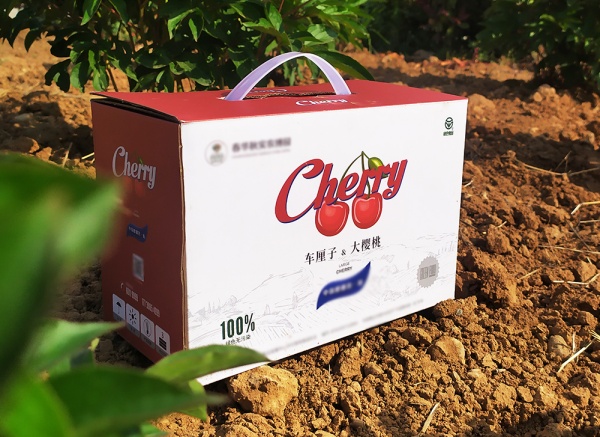 櫻桃、車(chē)厘子禮盒